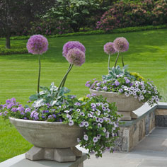 Martha Baker Landscape Design, LLC