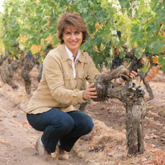 Vinicultural Renovation