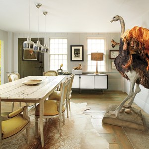A 19th Century Farmhouse with a Playful, Dr. Dolittle Vibe