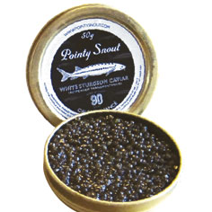 The Art of Pairing Caviar and Champagne