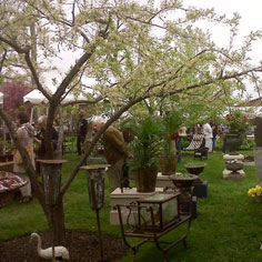 Garden Glory in Litchfield County