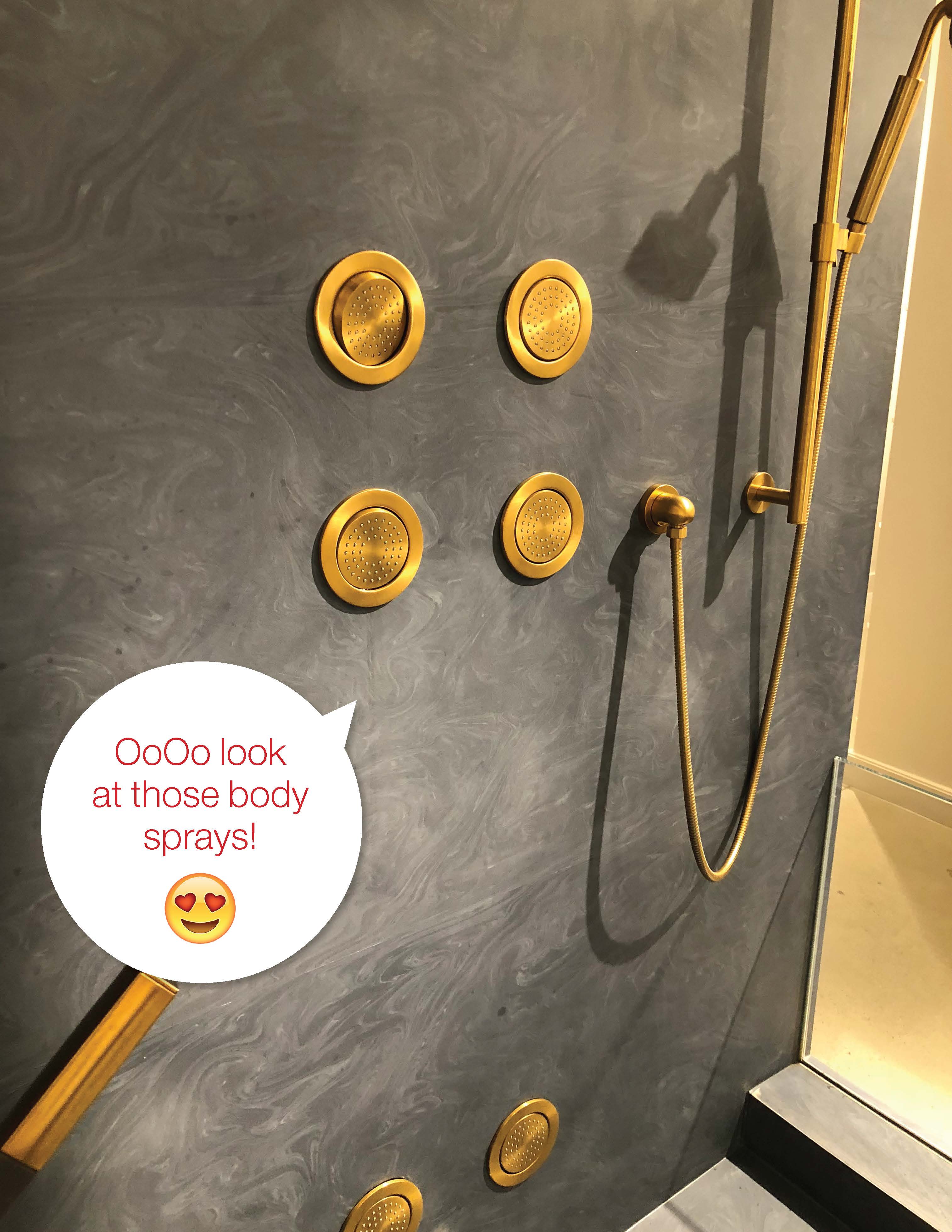 Black and gold Kohler body spray shower