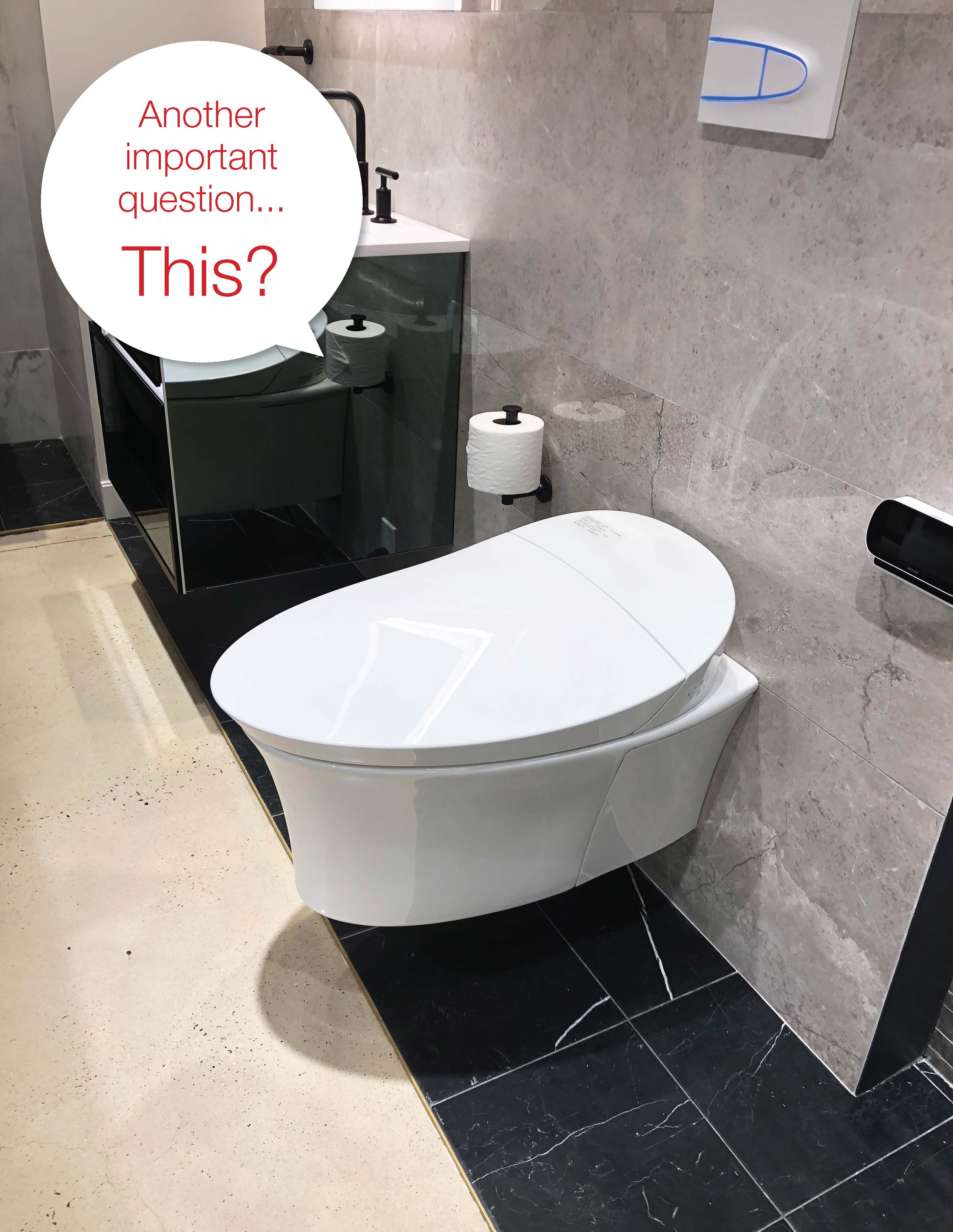 Kohler toilet with wall flush