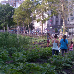 City Parks and Gardens