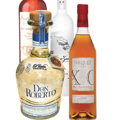 The Highs and Lows of Different Spirits