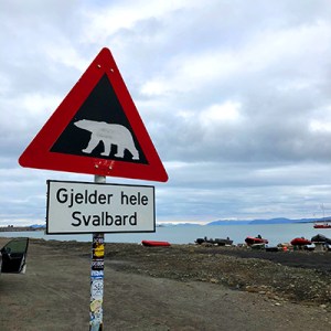 Summer Vacation Idea: Sleep on a Glacier and Watch Polar Bears in Norway