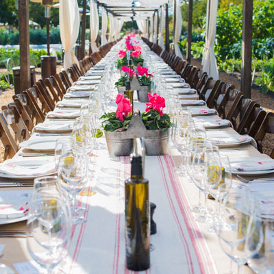 Flying High Over California Coastal Wine Lands