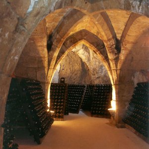 A Trip to the Land of Bubbly